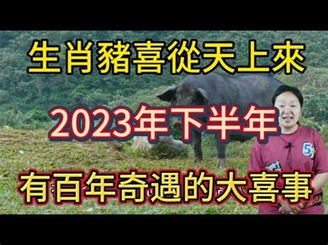 2023年屬豬|【2023豬運勢】2023豬運勢：福星高照，一路旺到年底！ 財運桃。